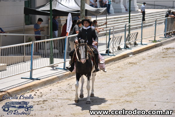 Dia Nacional del Gaucho - 2019