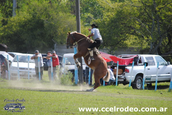 Fiesta Criolla 13-03-2016