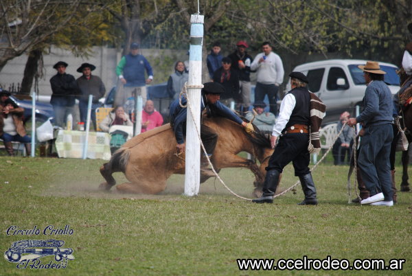 Desafo de Tropillas - 4-9-2016