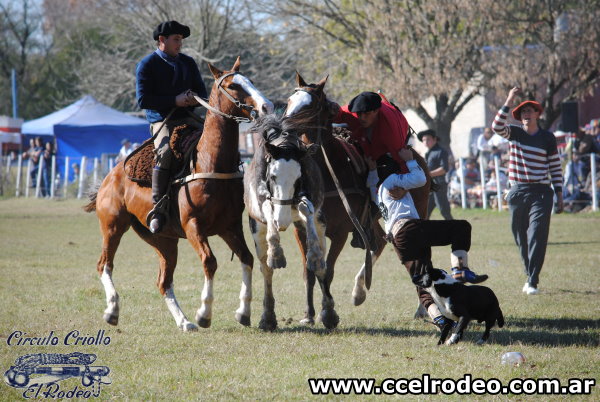 1 Campeonato de Apadrinadores - 2019