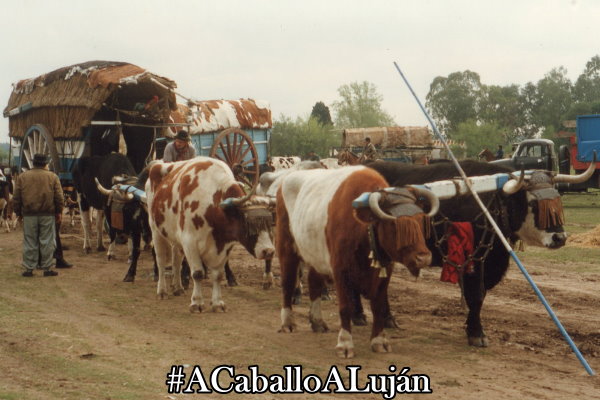 Peregrinacin a Caballo a Lujn